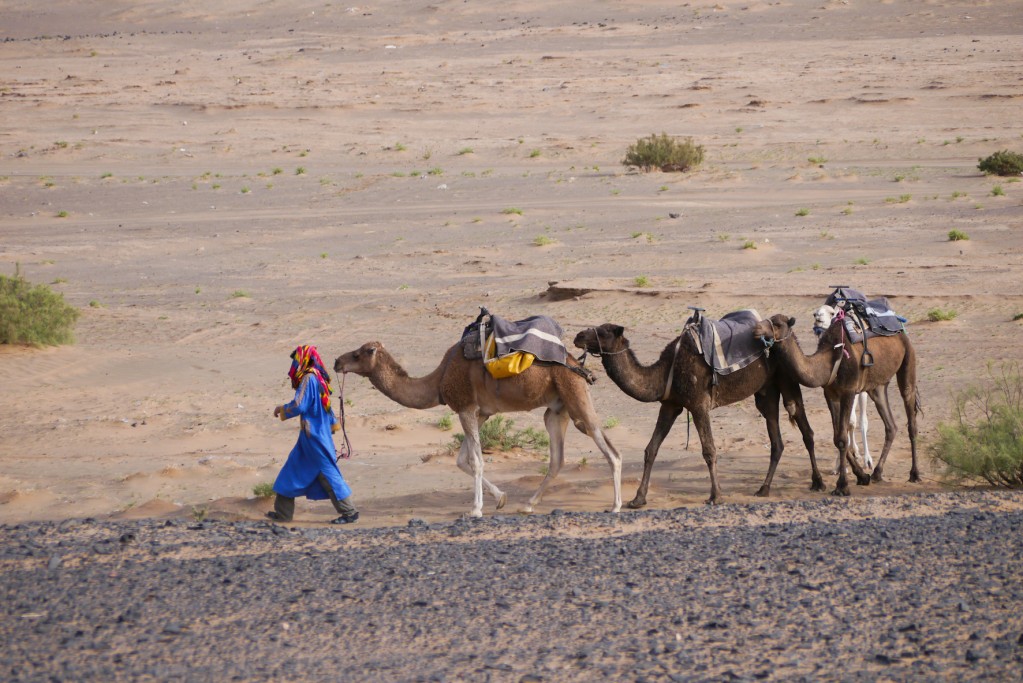 Zdjęcia: na pustyni, Erg Chebbi, Karawana, MAROKO Zdjęcia: na pustyni, Erg Chebbi, Karawana, MAROKO