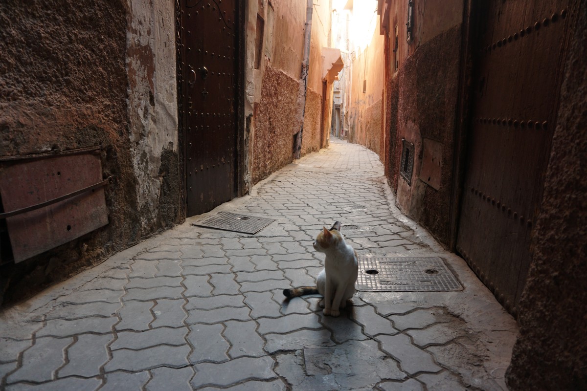 Zdjęcia: Marakesz, Marakesz, Marakesz Medina, MAROKO Zdjęcia: Marakesz, Marakesz, Marakesz Medina, MAROKO