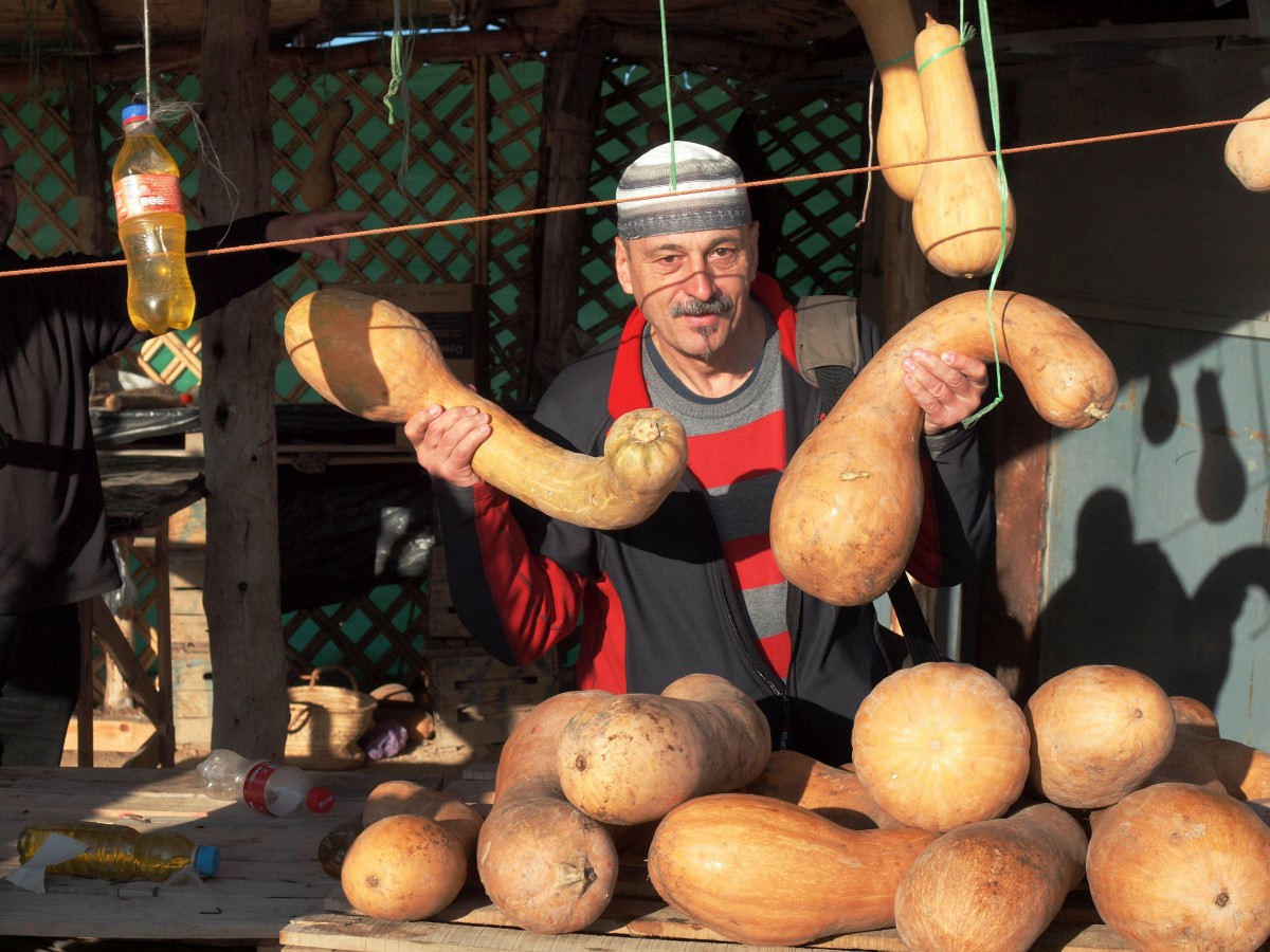 Zdjęcia: przy drodze, Safi, kup pan..., MAROKO Zdjęcia: przy drodze, Safi, kup pan..., MAROKO
