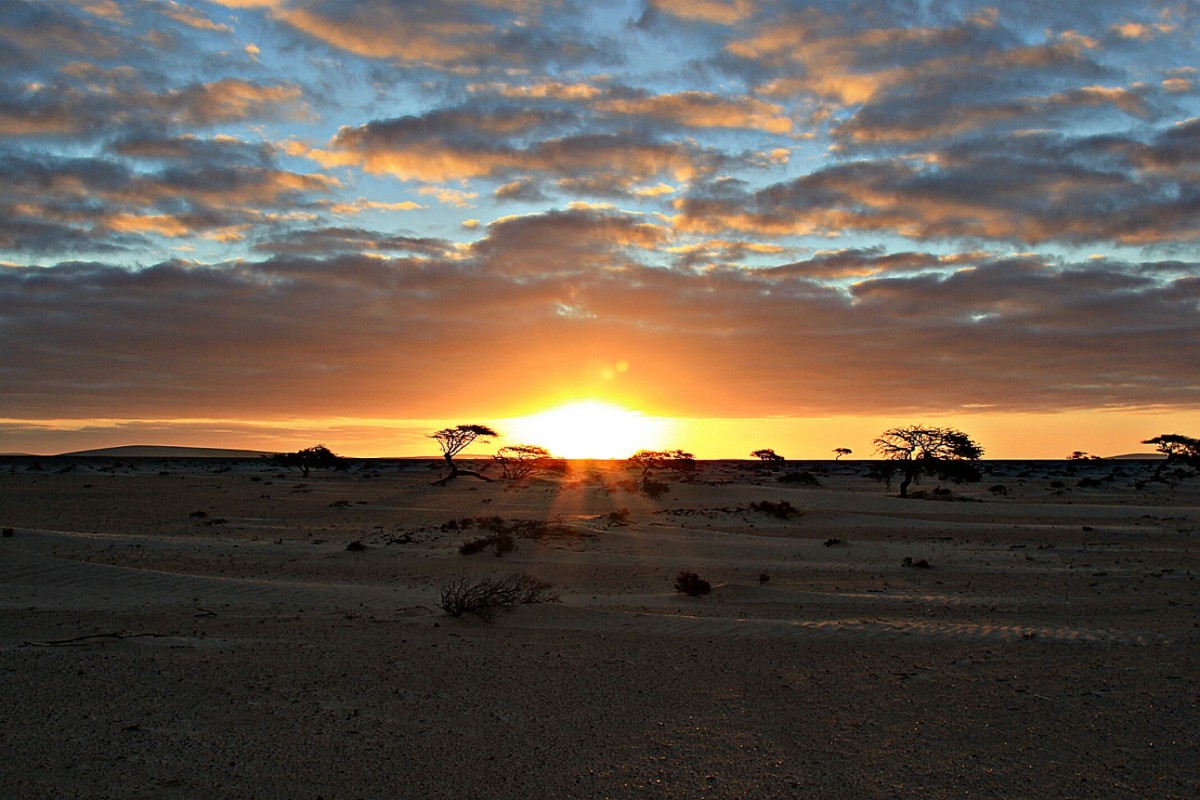 Zdjęcia: Sahara, Sahara Zachodnia, Wstaje dzień na pustyni, MAROKO Zdjęcia: Sahara, Sahara Zachodnia, Wstaje dzień na pustyni, MAROKO