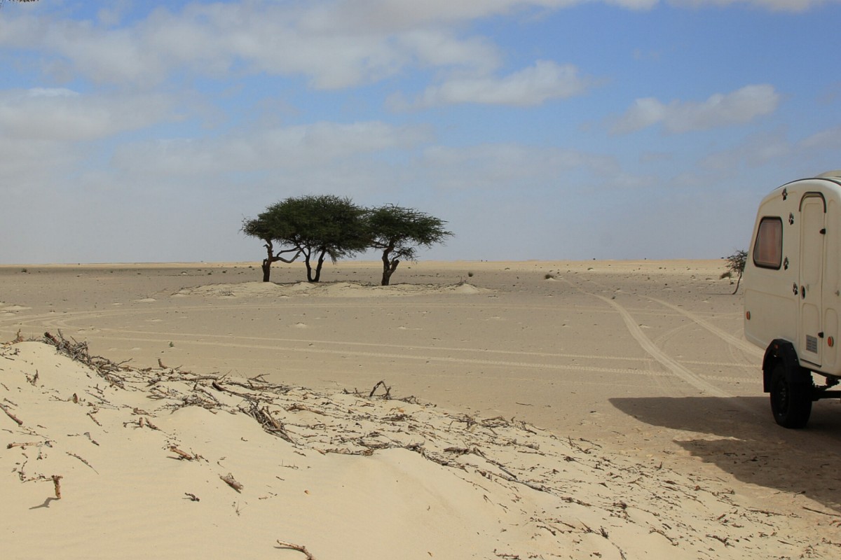 Zdjęcia: Sahara, Sahara Zachodnia, Pustynne klimaty, MAROKO Zdjęcia: Sahara, Sahara Zachodnia, Pustynne klimaty, MAROKO
