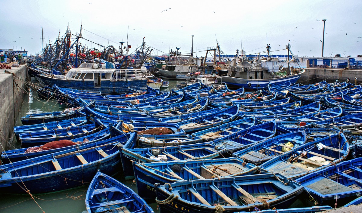 Zdjęcia: Essaouira, Essaouira, MAROKO Zdjęcia: Essaouira, Essaouira, MAROKO