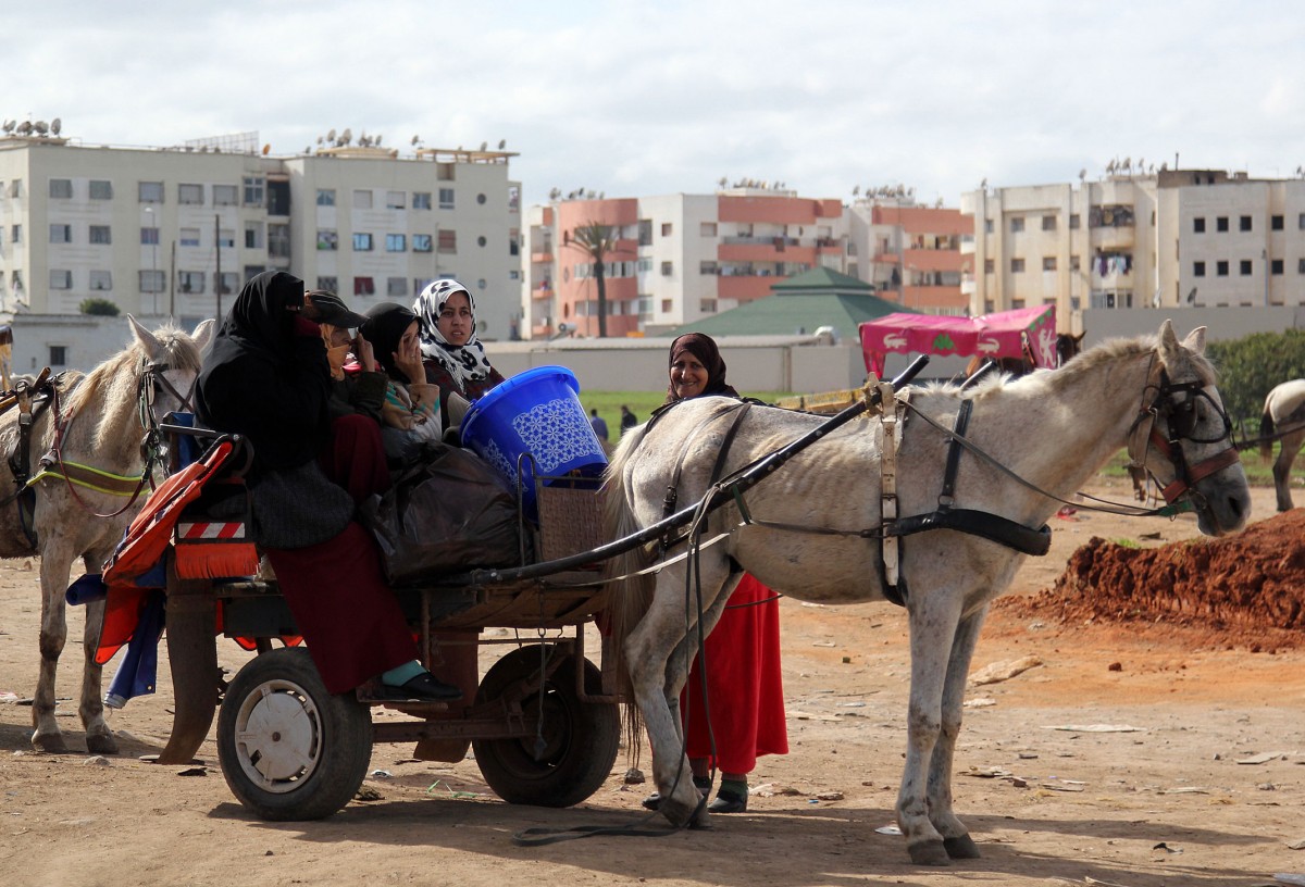 Zdjęcia: gdzieś po drodze, Maroko, Kobiecy" wypad na shopping", MAROKO Zdjęcia: gdzieś po drodze, Maroko, Kobiecy" wypad na shopping", MAROKO