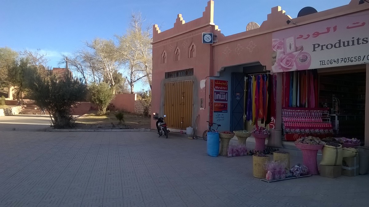 Zdjęcia:  Miasteczko El Kelaa M'gouna, Południowe  Maroko , Róża damasceńska , MAROKO Zdjęcia:  Miasteczko El Kelaa M'gouna, Południowe  Maroko , Róża damasceńska , MAROKO