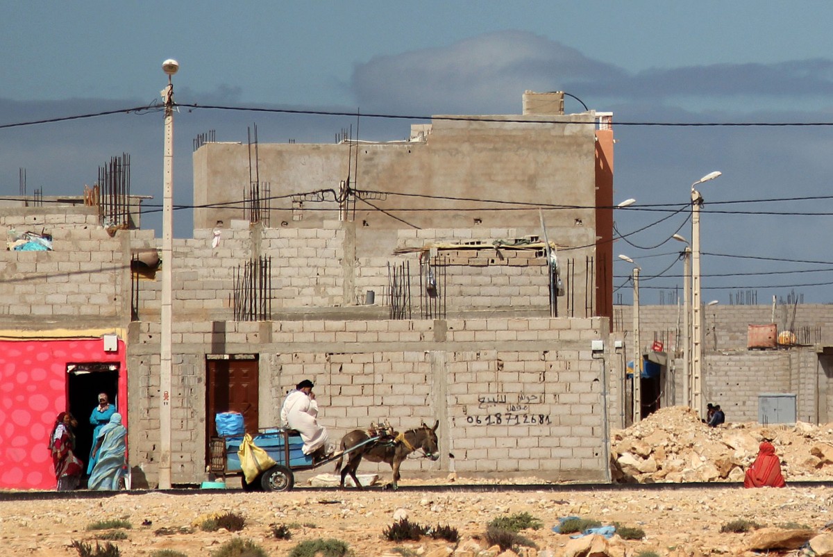 Zdjęcia: Dakhla, Sahara Zachodnia, Przy ulicy, MAROKO Zdjęcia: Dakhla, Sahara Zachodnia, Przy ulicy, MAROKO