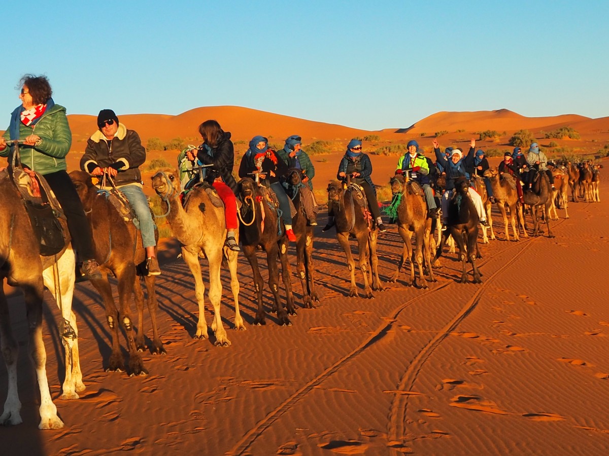 Zdjęcia: Sahara - Erfoud, Sahara - Erfoud, Maroko -Sahara, MAROKO Zdjęcia: Sahara - Erfoud, Sahara - Erfoud, Maroko -Sahara, MAROKO