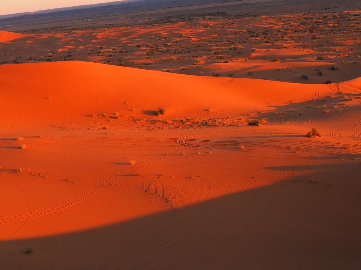 Zdjęcia: Erfoud-Merzouga, Południe Maroka, Marokańska pustynia, MAROKO Zdjęcia: Erfoud-Merzouga, Południe Maroka, Marokańska pustynia, MAROKO