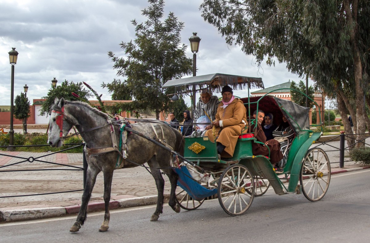 Zdjęcia: gdzieś po drodze, Maroko, Wozem zielonym po zakupy, MAROKO Zdjęcia: gdzieś po drodze, Maroko, Wozem zielonym po zakupy, MAROKO