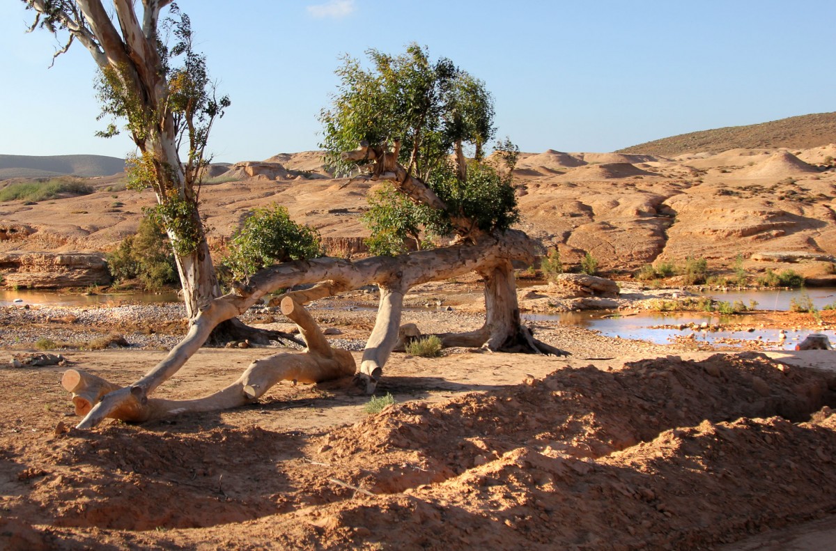 Zdjęcia: ruiny starego fortu, Kulmim-Asmara, Bou Jerif, MAROKO Zdjęcia: ruiny starego fortu, Kulmim-Asmara, Bou Jerif, MAROKO