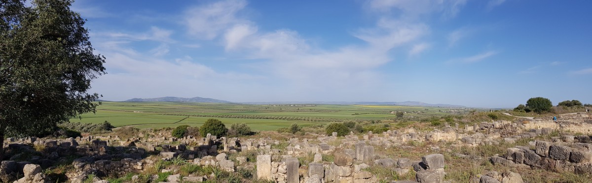 Zdjęcia: Ruiny Volubilis, Północne Maroko, Volubilis , MAROKO Zdjęcia: Ruiny Volubilis, Północne Maroko, Volubilis , MAROKO