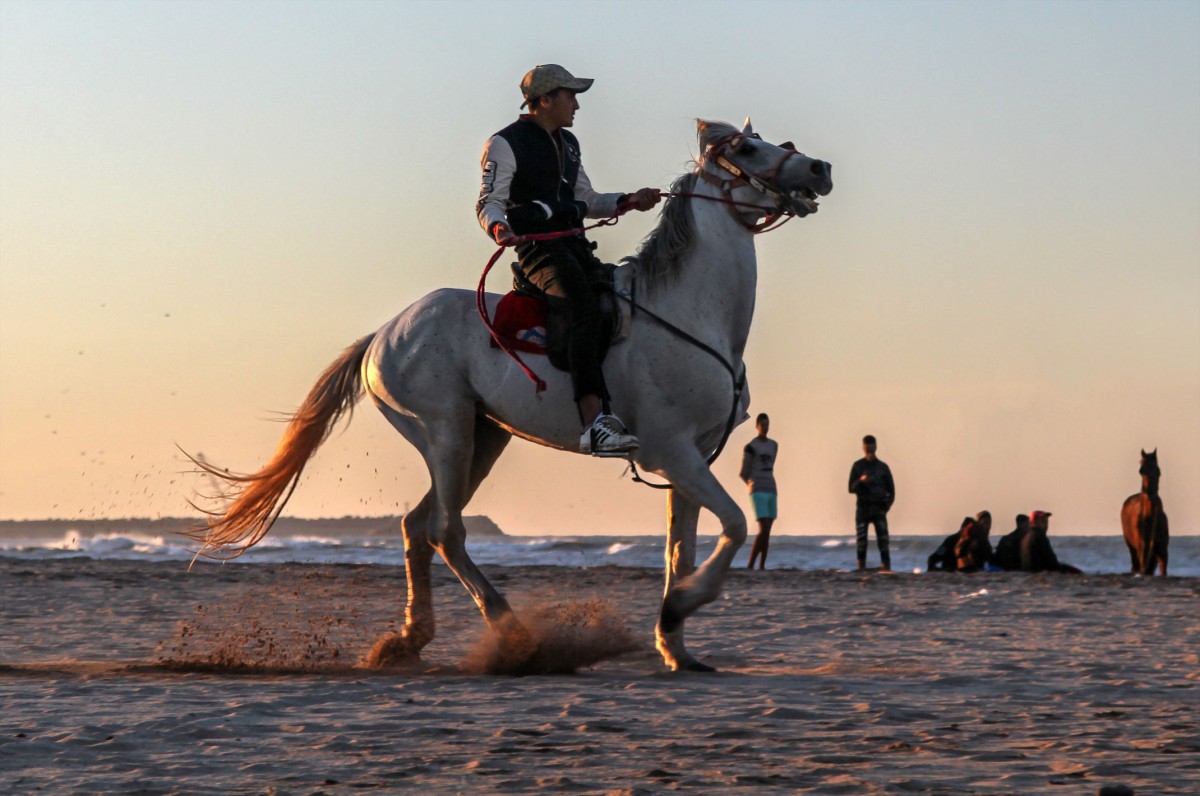 Zdjęcia: na plaży, Mohammedia‎ , Rozrywki na plaży, MAROKO Zdjęcia: na plaży, Mohammedia‎ , Rozrywki na plaży, MAROKO