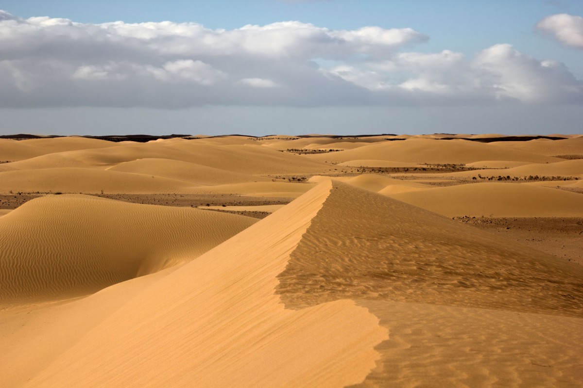 Zdjęcia: w piaskach pustyni, Sahara Zachodnia, Ot tak w piasku, MAROKO Zdjęcia: w piaskach pustyni, Sahara Zachodnia, Ot tak w piasku, MAROKO