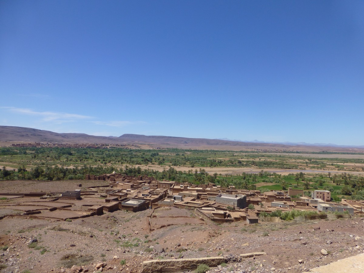 Zdjęcia: Sahara , -wschód, oaza, MAROKO Zdjęcia: Sahara , -wschód, oaza, MAROKO