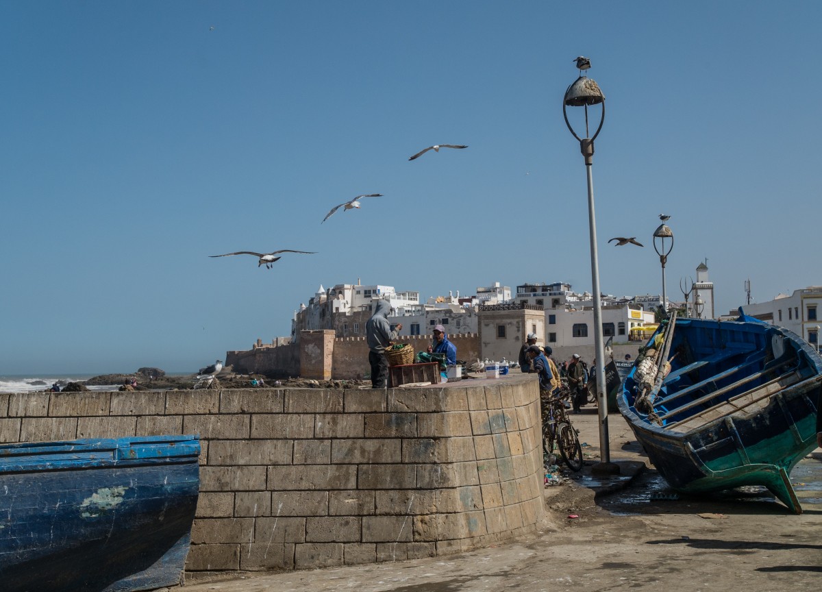 Zdjęcia: Essaouira, Marrakesz-Safi, nad Atlantykiem, MAROKO Zdjęcia: Essaouira, Marrakesz-Safi, nad Atlantykiem, MAROKO