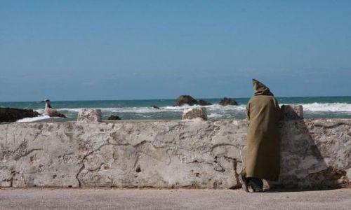 Zdjcie MAROKO / Essaouira / Targ Rybny / Czekajc na marokanskie lato