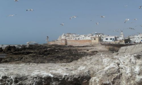 Zdjecie MAROKO / - / Esaouira / widok z portu 