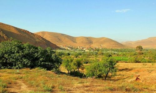 Zdjcie MAROKO / - / Taliouine (Taliwin) / Okolice Taliouine.