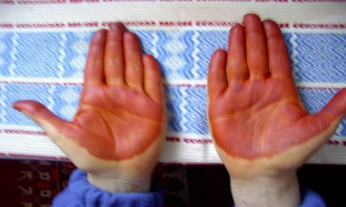 Zdjęcie MAROKO / marocco / 100 km od todry / prawdziwa henna