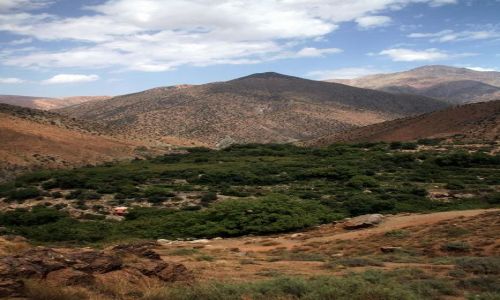 Zdjecie MAROKO / - / National Park Toubkal / Ourika Valley 1