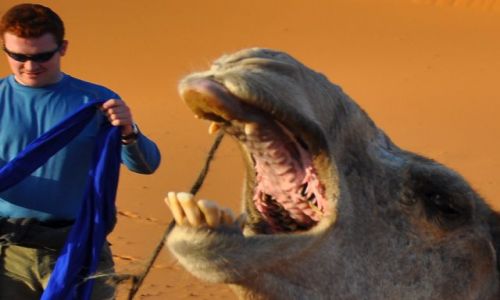 Zdjecie MAROKO / - / Sahara na granicy z Algieri / Jurassic Park