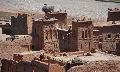 Zdjecie MAROKO / - / Ait Ben Haddou / Ait Ben Haddou