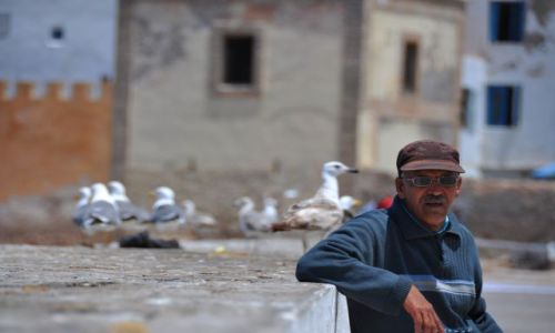 Zdjęcie MAROKO / - / As-Sawira / As-Sawira