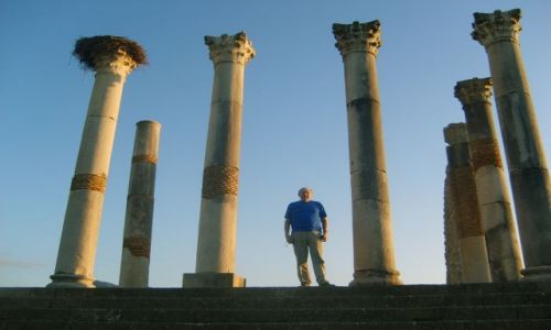 Zdjęcie MAROKO / Maroko / Volubis / Maroko