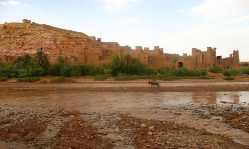 Zdjecie MAROKO / - / Ait Benhaddou / gliniane miasto