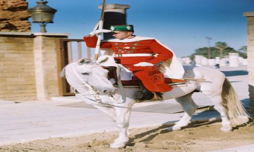 Zdjęcie MAROKO / Rabat / Rabat / Gwardzista przy bramie Mauzoleum Muhammada V