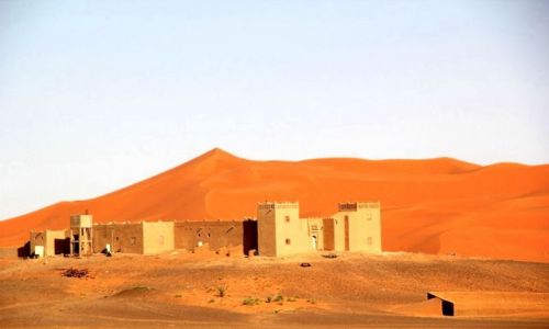 Zdjecie MAROKO / Sahara / okolice Erdfoud / Sahara #3