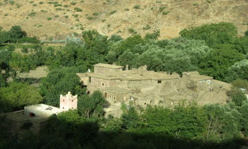 Zdjecie MAROKO / - / Maroko- poudnie, Gry Atlas / w gszczu zieleni