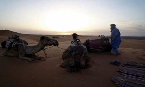 Zdjęcie MAROKO / południowo-wschodni kraniec Tafilant / okolice Erfoud_Sahara / Słońce zaszło.