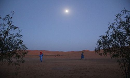 Zdjęcie MAROKO / południowo-wschodni kraniec Tafilant / okolice Erfoud_Sahara / Nad Saharą króluje juz księżyc.