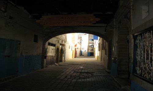 Zdjecie MAROKO / - / Essauira / w gbi zaukw 