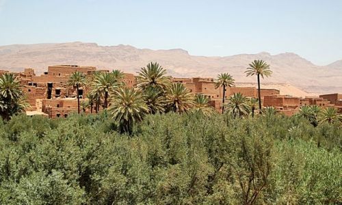 Zdjecie MAROKO / - / w drodze do OUARZAZATE / Droga tysica kazb.