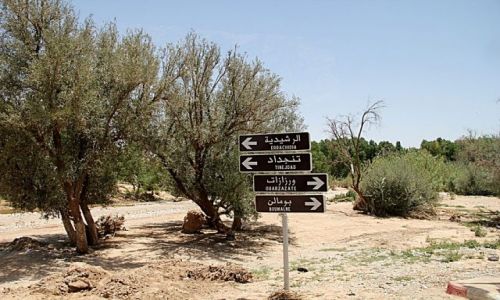 Zdjecie MAROKO / Droga tysica kazb. / w drodze do OUARZAZATE / Skrzyowanie