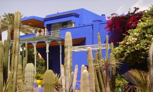 Zdjęcie MAROKO / brak / Marrakech / Jardin Majorelle