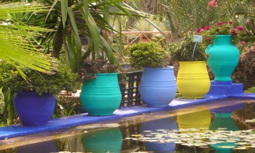 Zdjęcie MAROKO / brak / Marrakech / Jardin Majorelle