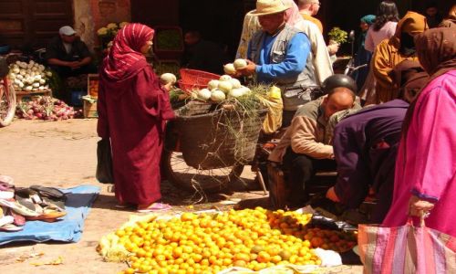 Zdjęcie MAROKO / brak / Marrakech medyna / na suku