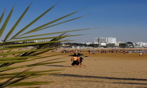 Zdjecie MAROKO / Agadir / Agadir / zaludniona plaa w Agadirze