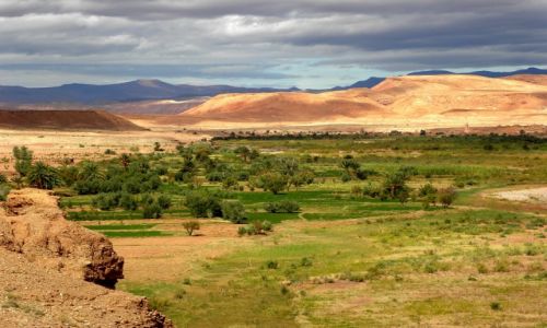 Zdjecie MAROKO / Poudnie gr Atlas / Okolice Ait Bin Haddou / Oaza