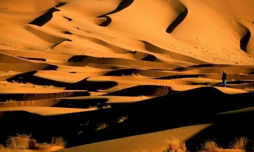 Zdjecie MAROKO / POludnie / Merzouga / Maroko99