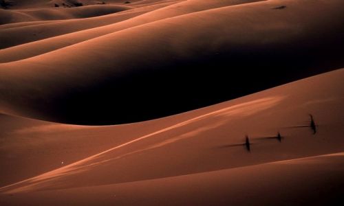 Zdjecie MAROKO / Sahara / ERG Chebbi / Maroko 91