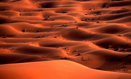 Zdjecie MAROKO / Poudnie / Merzouga / Maroko 27