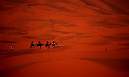 Zdjecie MAROKO / Poudnie / Merzouga / Maroko 100