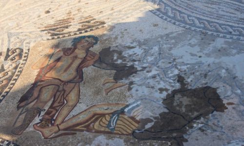 Zdjęcie MAROKO / Volubilis / Volubilis / Mozaika z czasów rzymskich