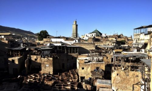 Zdjęcie MAROKO / Fez / medyna / Garbiarnia