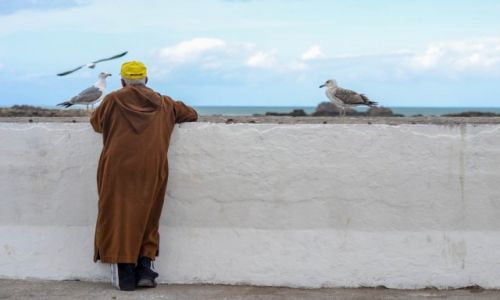 MAROKO / Essaouira / medina / Port w Essaouirze