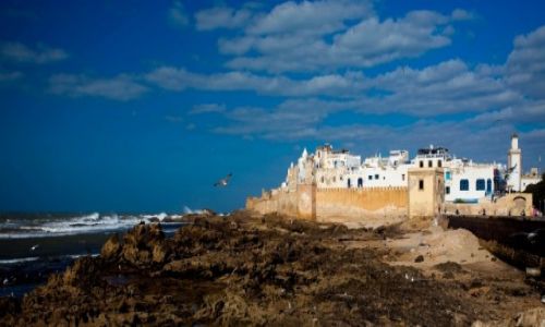 Zdjecie MAROKO / - / Essaouira / Essaouira