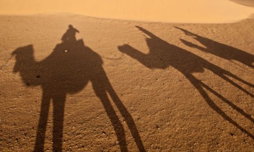Zdjecie MAROKO / Sahara / Sahara / Konkurs - 